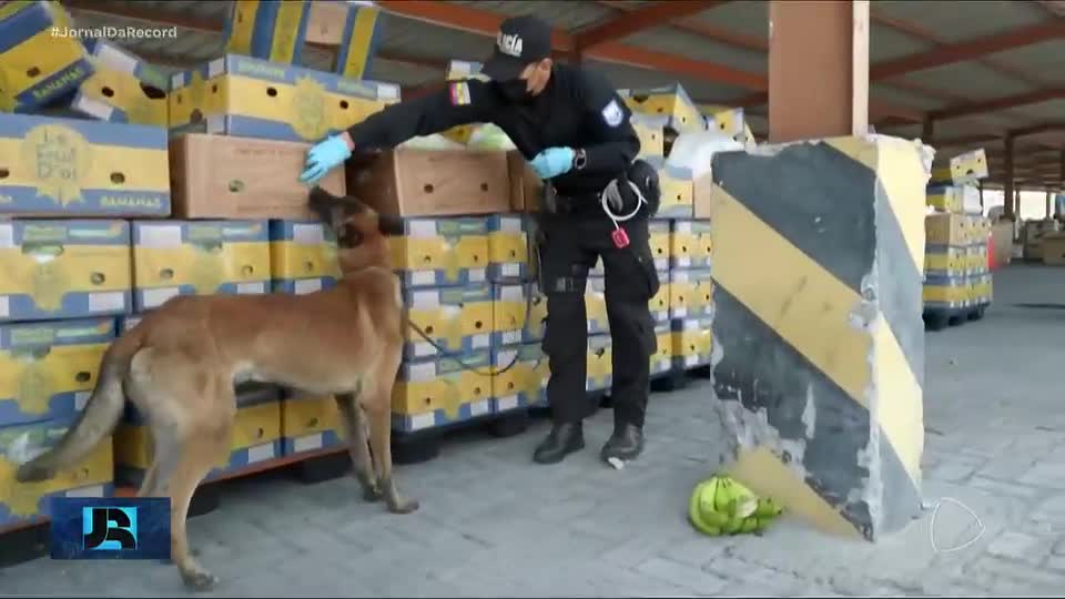 Equador declara estado de exceção diante do recorde de homicídios e tráfico de drogas