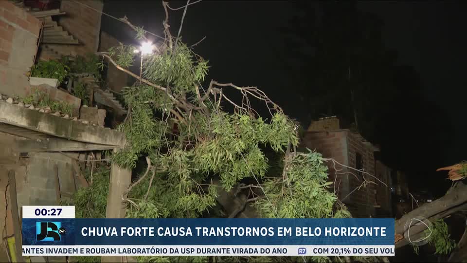 MG: chuva forte provoca alagamentos e queda de árvore em Belo Horizonte