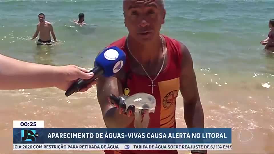Aparecimento de águas-vivas acende alerta para banhistas no Sul e Sudeste