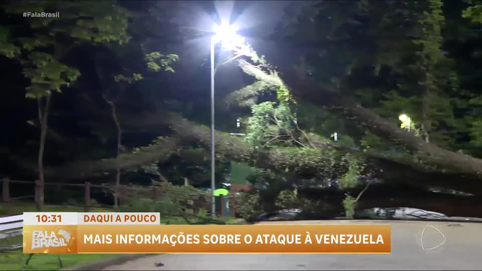 Queda de árvore deixa três feridos no Parque do Ibirapuera, em São Paulo