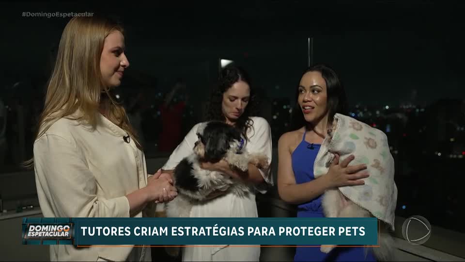 Donos de pets fazem ‘rituais’ para acalmá-los durante queima de fogos e relatam drama com barulho