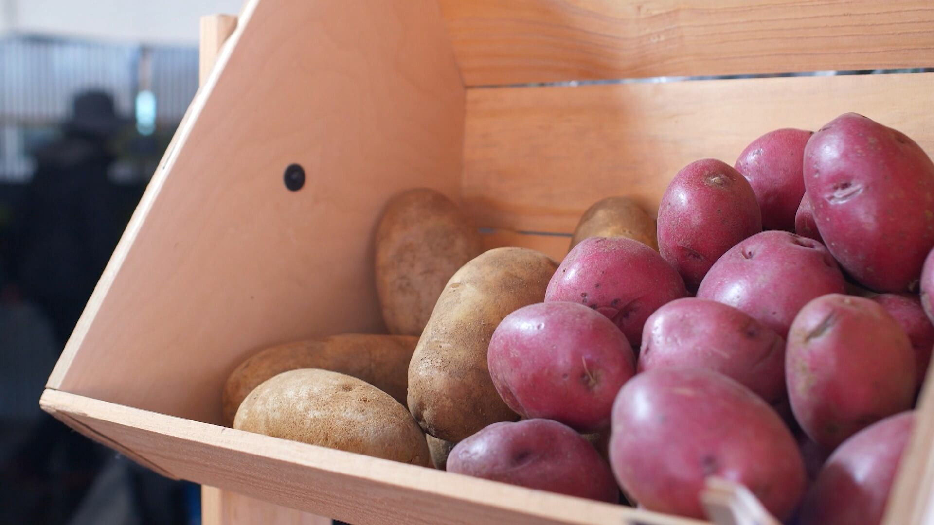 Casal do sul do país se dedica à cultura da batata-doce no Centro-Oeste