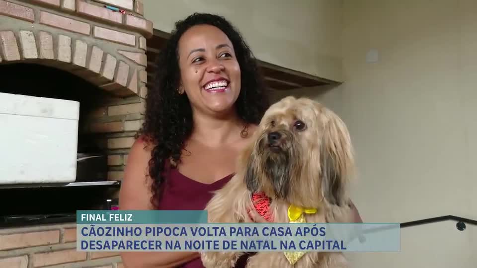 Desaparecido na véspera do Natal, cãozinho "pipoca" é encontrado em BH