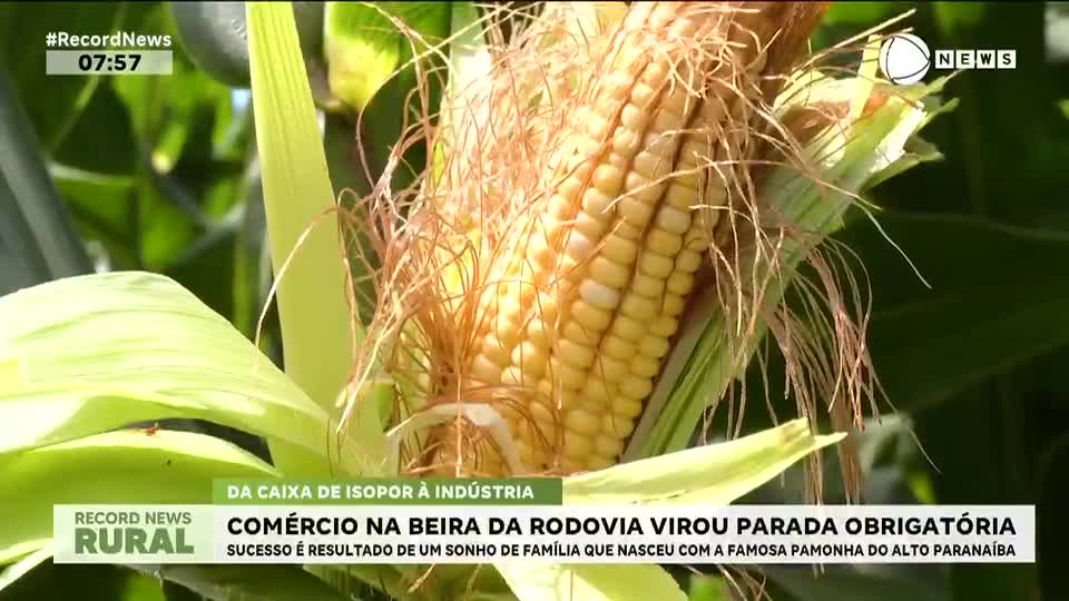 Comércio de pamonha na beira da rodovia virou parada obrigatória