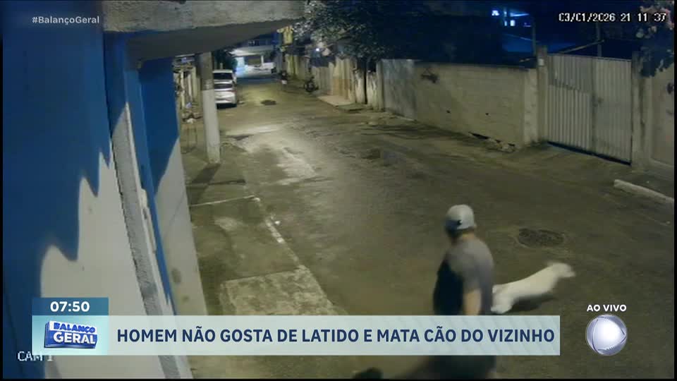 Homem se irrita com latido e mata cachorro do vizinho no Rio de Janeiro