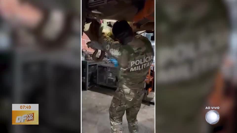 Morador do DF encontra cobra no motor do carro e aciona polícia para resgate
