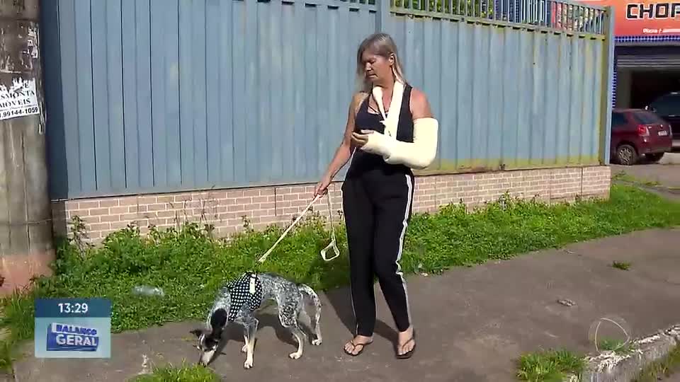 Aumento de ataques de cães no DF reacendem debate sobre abandono de animais