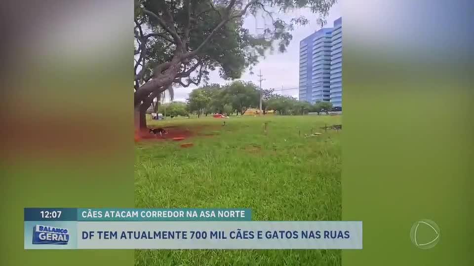 Casos de pedestres atacados por cães são registrados na L2 Norte e na Epia Norte