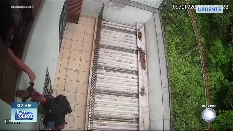 Moradora bate em ladrão com planta artificial e impede que sua casa seja invadida