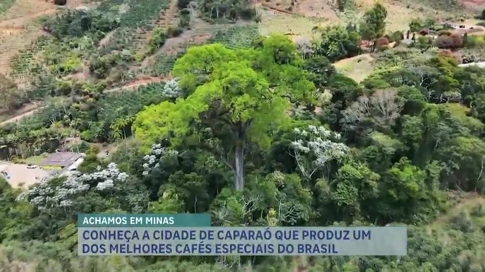 Achamos em Minas: conheça Caparaó, terra de cafés especiais e natureza exuberante