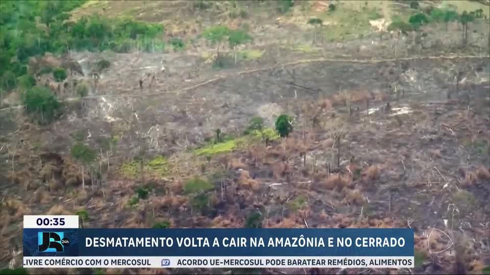 Desmatamento na Amazônia e no cerrado diminui em 2025