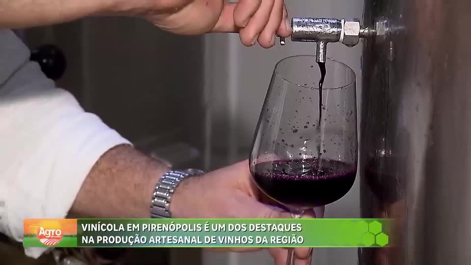 Vinícola em Pirenópolis é um dos destaques na produção artesanal de vinhos na região