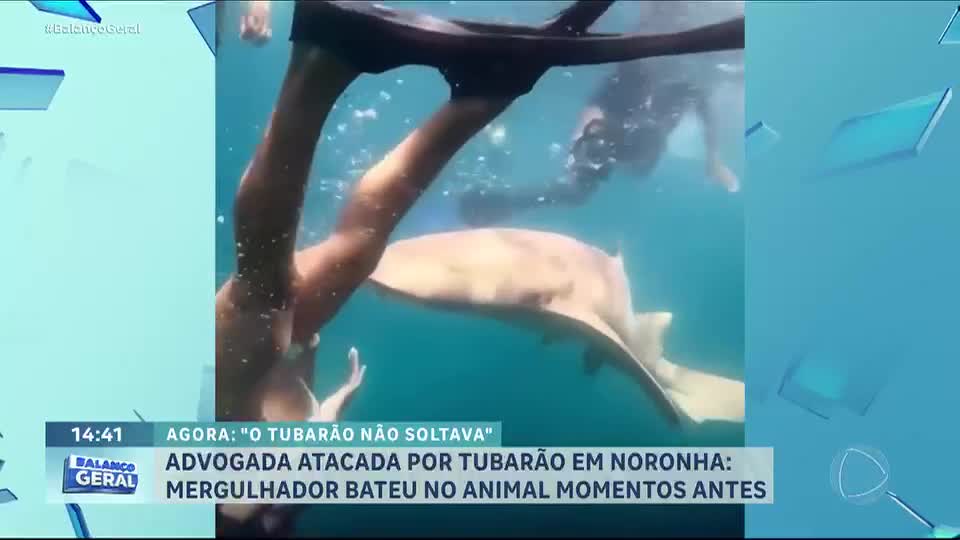 Advogada é mordida por tubarão durante mergulho em Fernando de Noronha (PE)