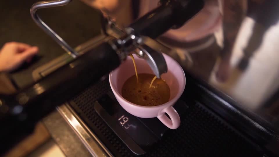 Santa Catarina aposta na produção de cafés especiais