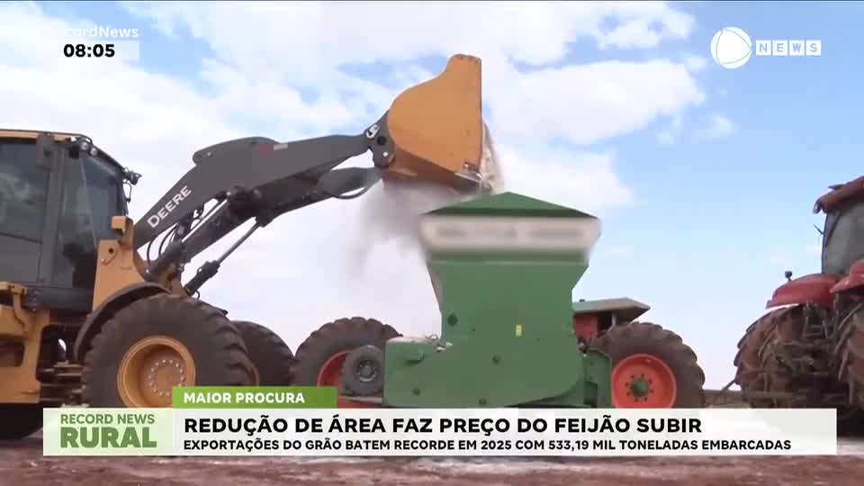 Redução de área faz o preço do feijão subir