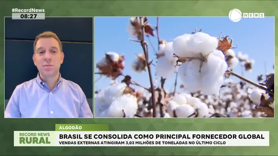 Brasil se consolida como principal fornecedor global de algodão