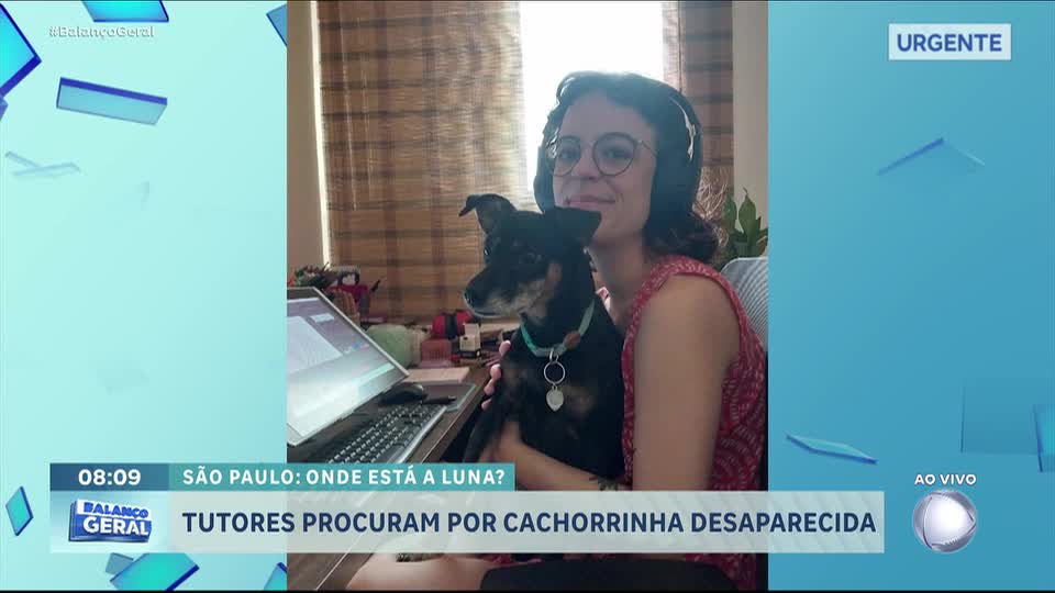 Tutora deixa cachorra em hotelzinho para viajar no Ano Novo e ela foge durante queima de fogos