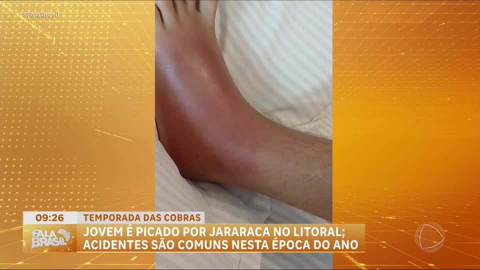 Adolescente é picado por cobra em praia de São Sebastião (SP)