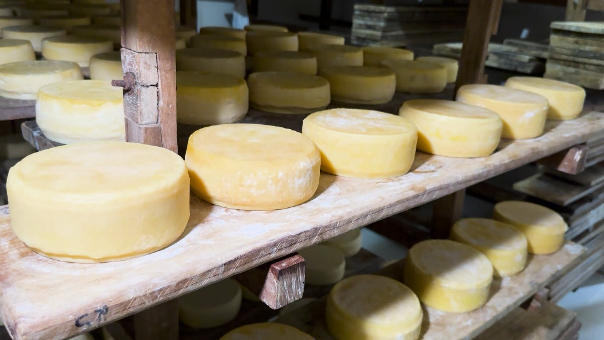 Plataforma 'É do Campo' ajuda produtor a vender mais