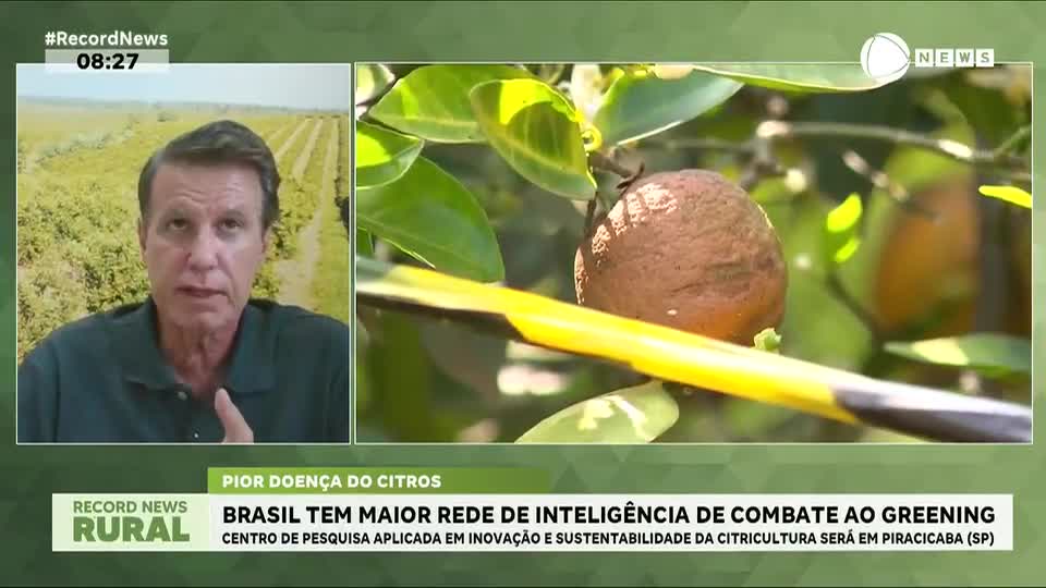Brasil tem maior rede de inteligência de combate ao greening