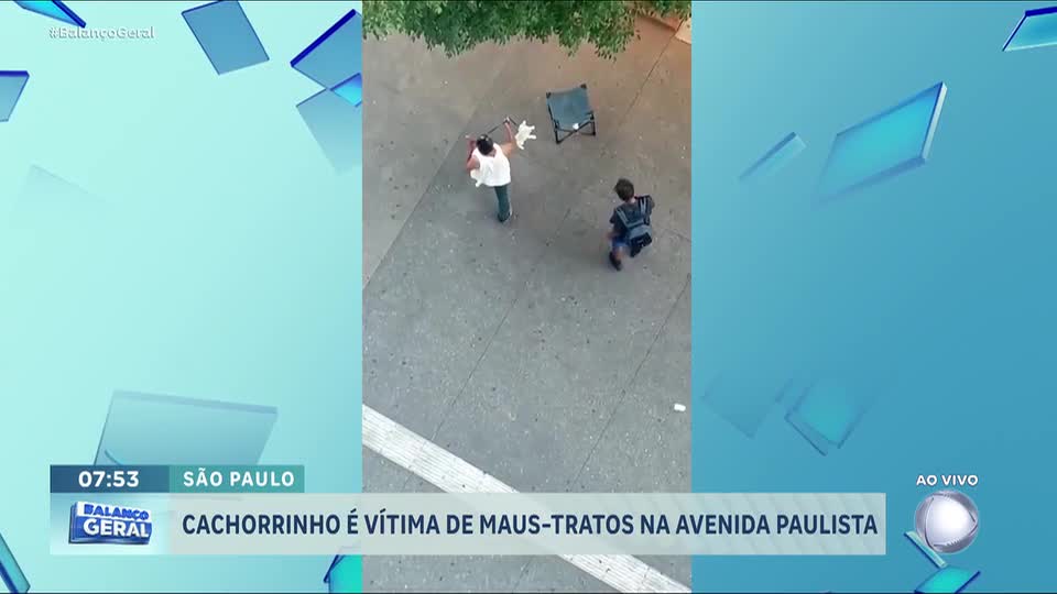Cachorro é resgatado após sofrer maus-tratos de tutores na avenida Paulista
