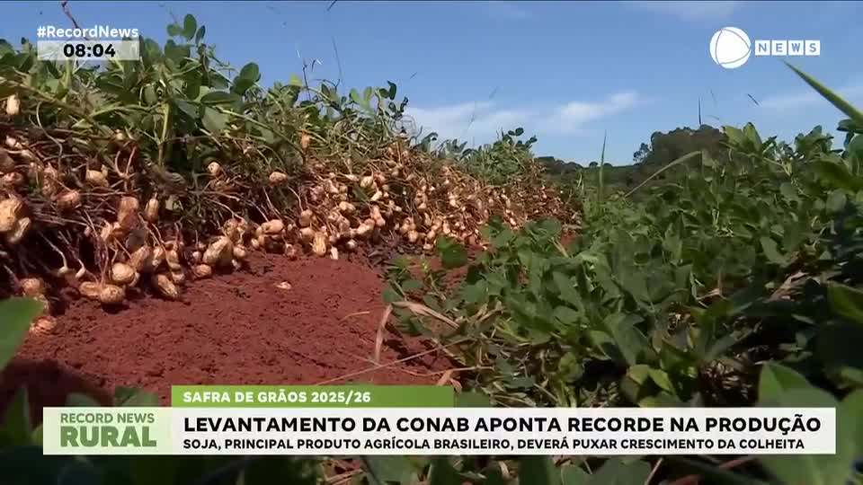 Levantamento da Conab aponta recorde na produção de grãos