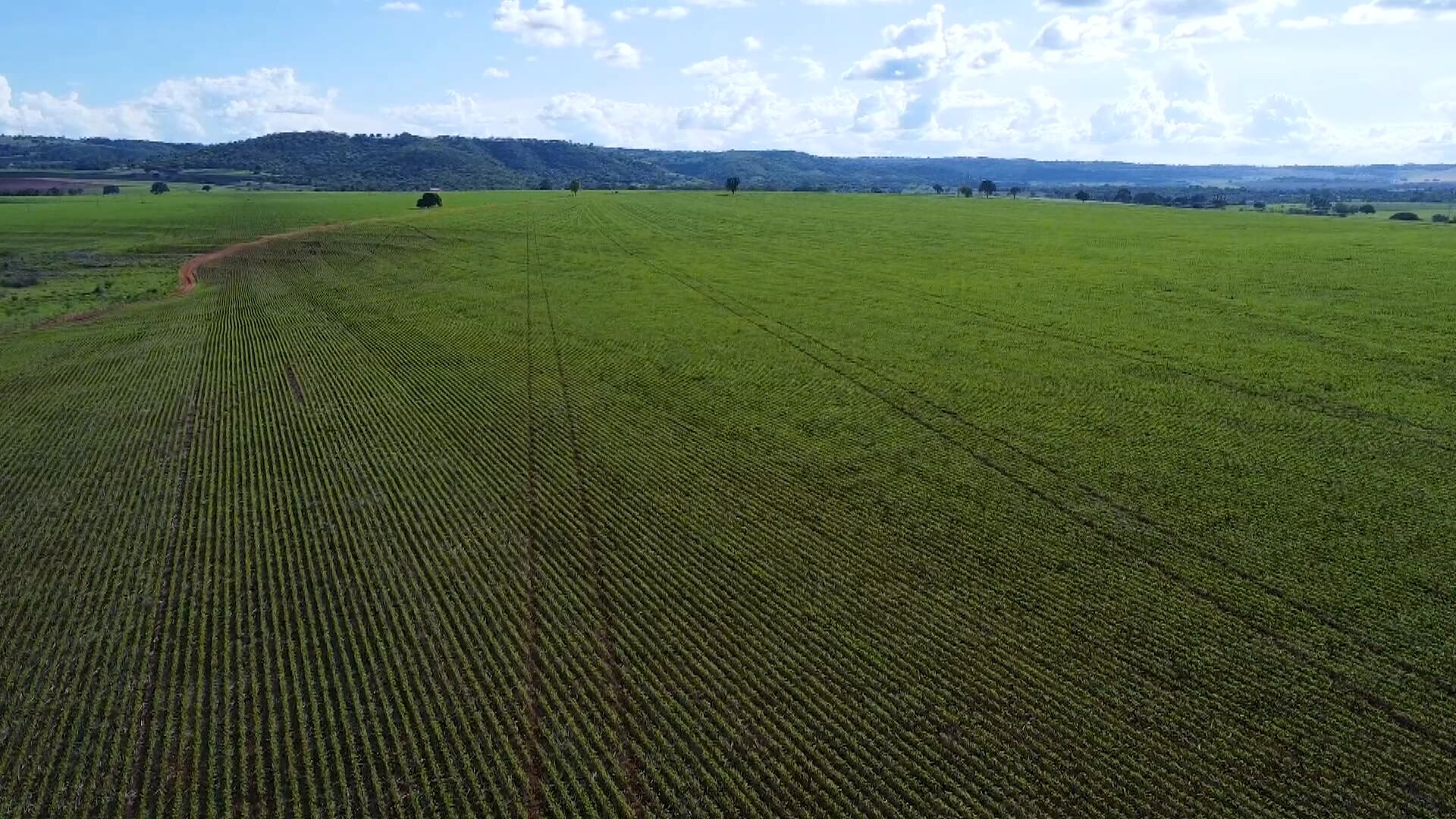 Infraestrutura, logística e força de cidade mineira atraem investidores do agronegócio