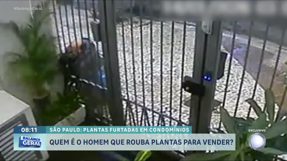 Mistério: quem é o homem que rouba plantas em São Paulo para vendê-las?