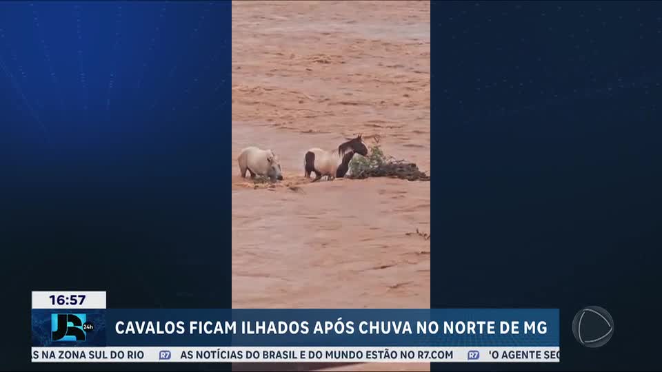 Pescadores resgatam cavalos ilhados após enchente em Minas Gerais