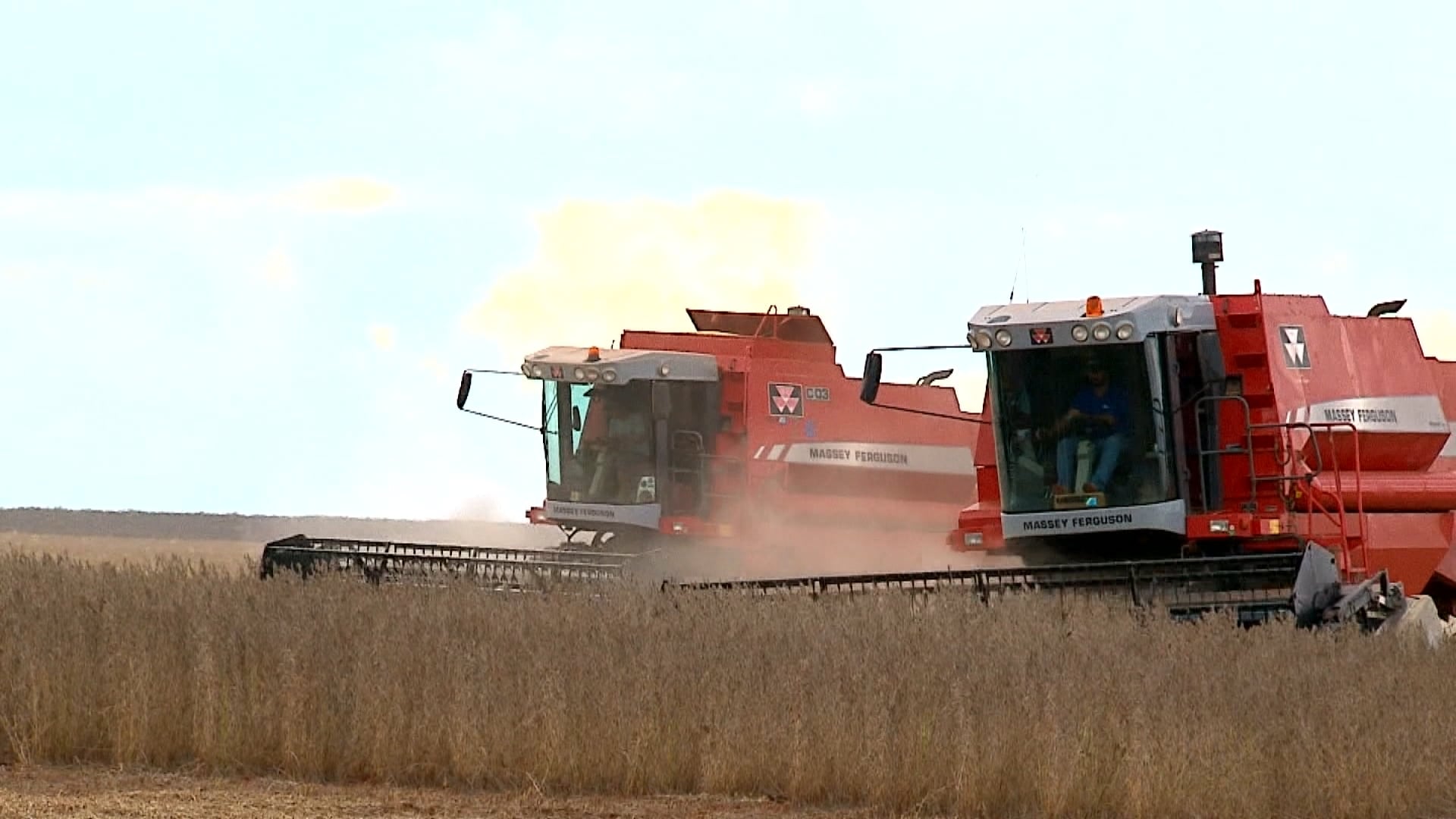 Abiove aponta que processamento de soja deve atingir 61 milhões de toneladas em grãos