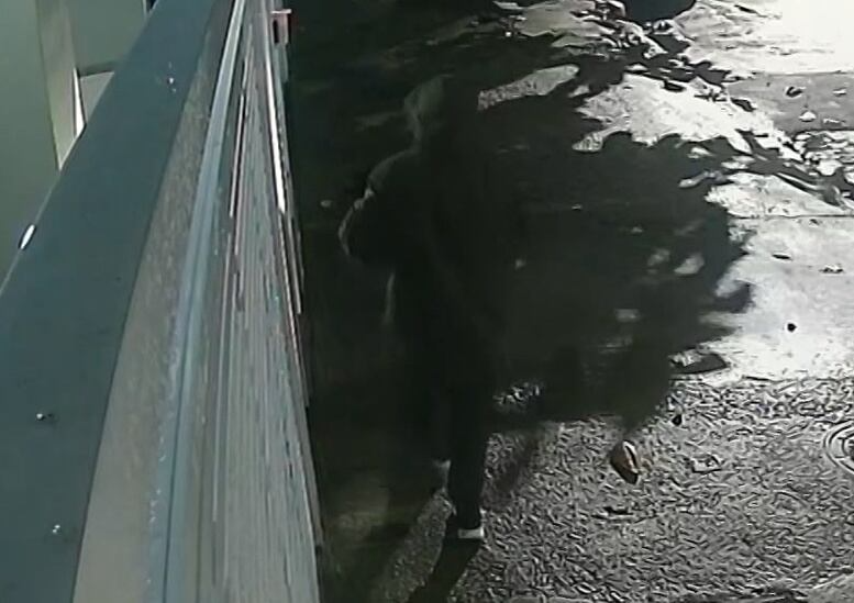 Ladrão quebra portão de garagem e furta bicicleta em prédio na Ilha do Governador