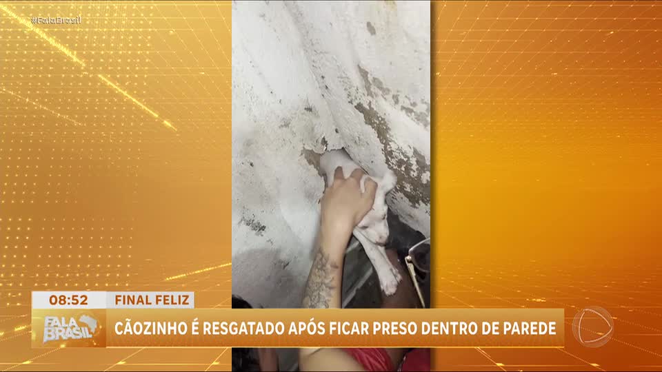 Filhote de cachorro é resgatado após ficar preso entre duas paredes em Manaus