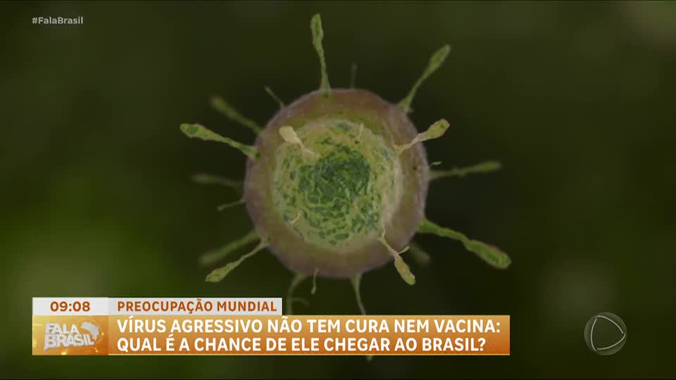 Vírus Nipah: risco de chegada ao Brasil é avaliado