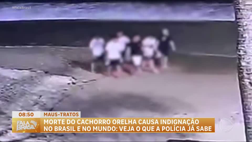 Assassinato do cão Orelha gera comoção e onda de protestos