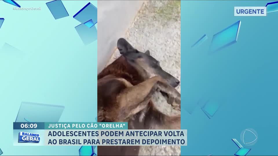 Parentes de jovens suspeitos de torturar cão Orelha são indiciados por ameaçar testemunha