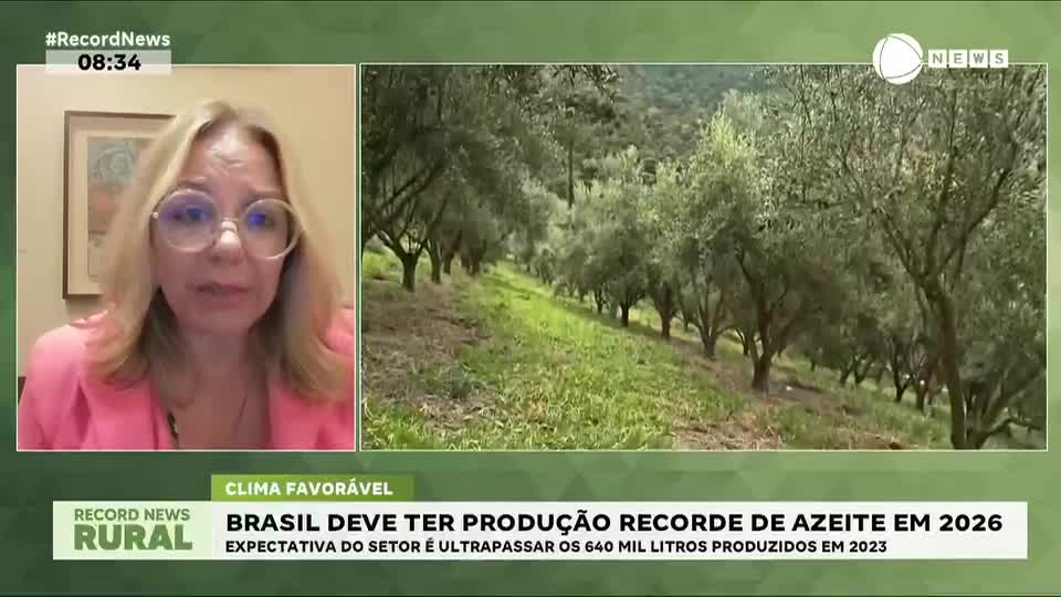 Brasil deve ter produção recorde de azeite em 2026