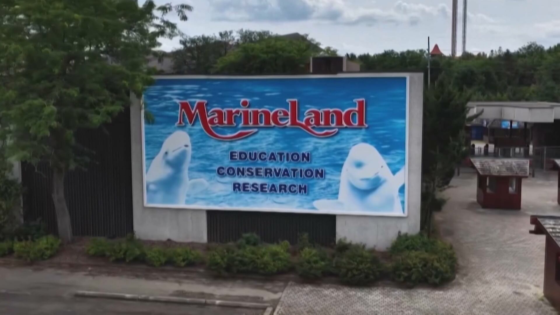 Canadá libera transferência de belugas para os EUA