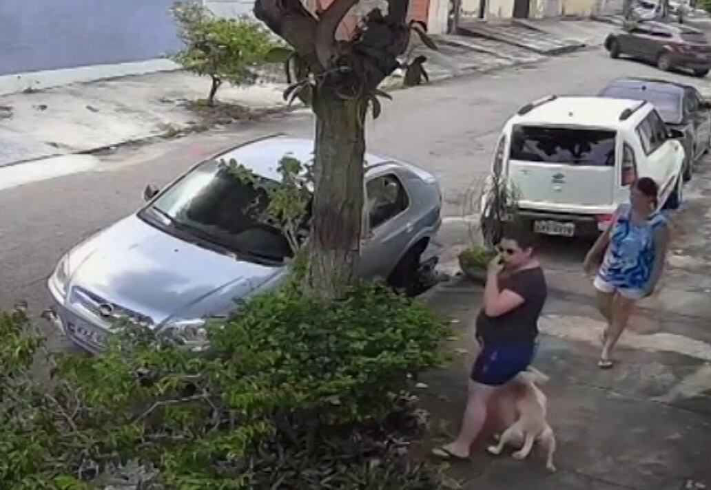 Vídeo flagra momento em que cãozinho é amarrado a árvore e abandonado no Rio