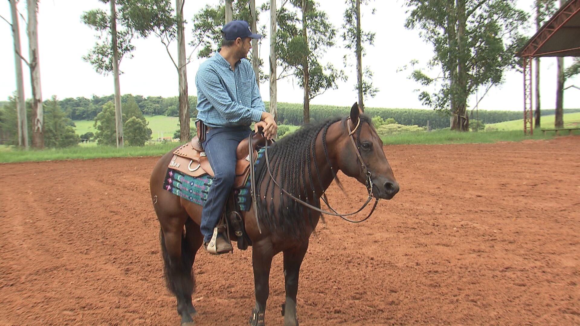 Competição reúne técnica, harmonia e parceria entre homem e animal