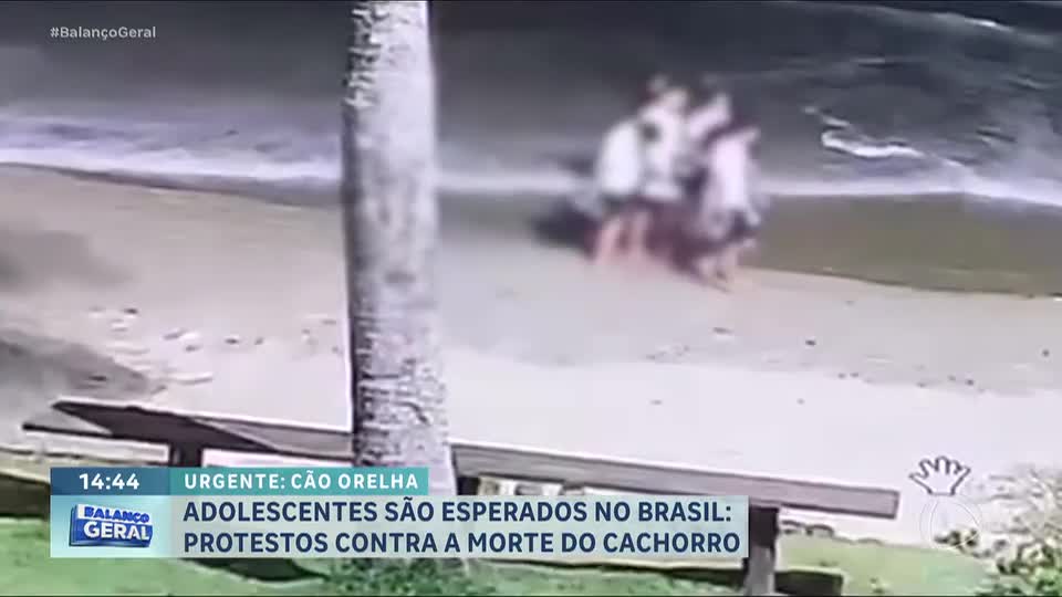 Caso Orelha: Justiça manda retirar fotos de adolescentes suspeitos das redes sociais