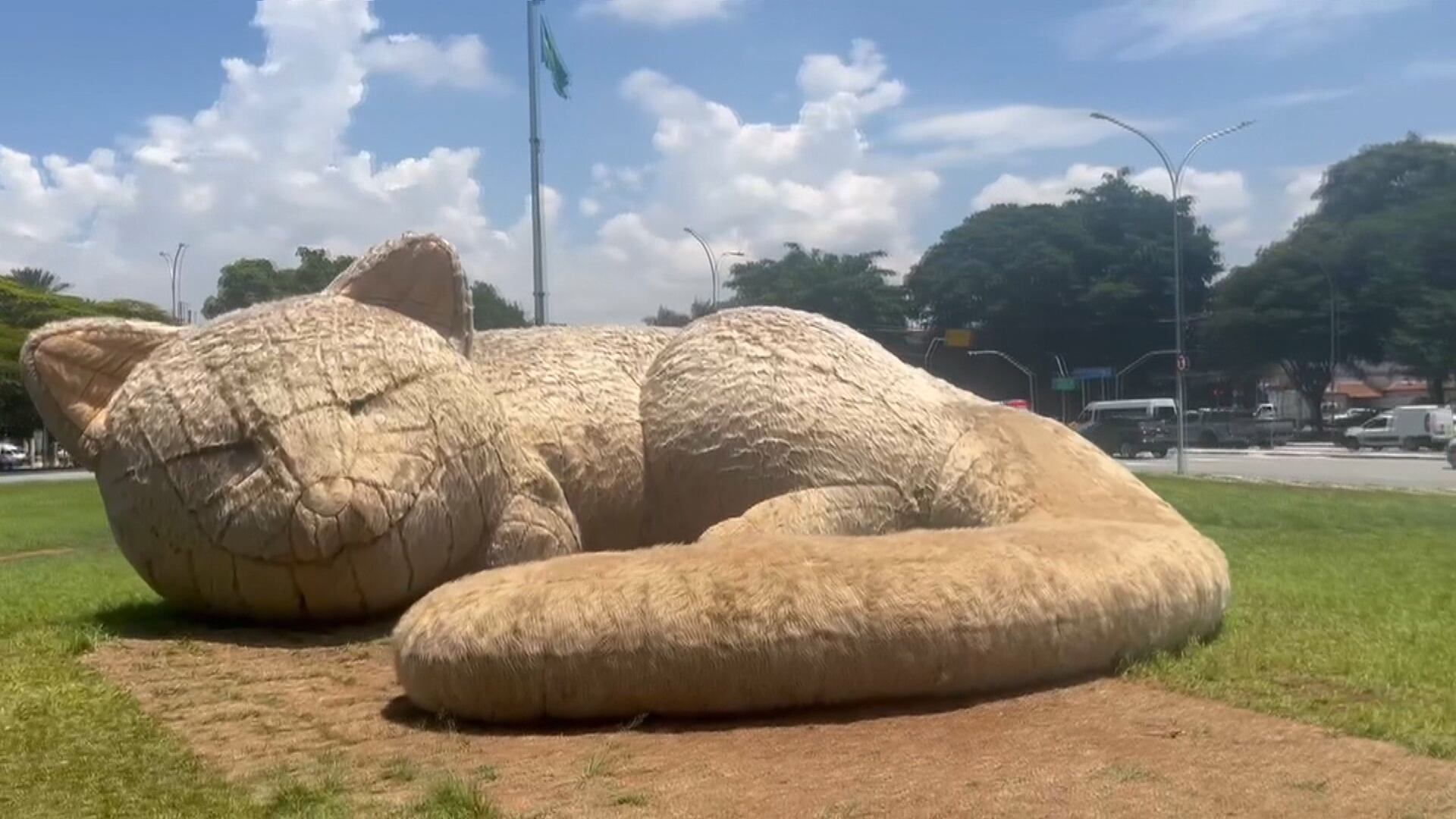 Obras incentivam o acolhimento de pets em São Paulo