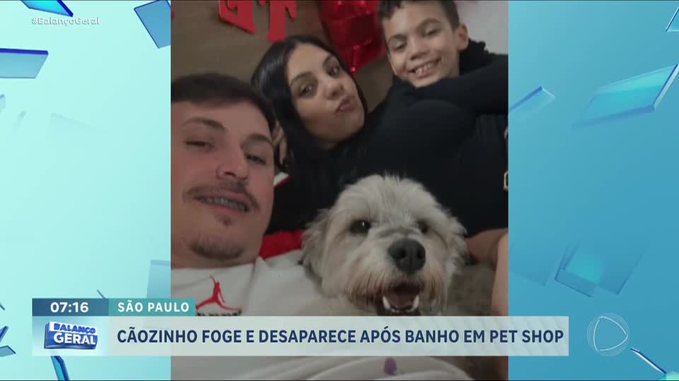 Cachorro foge de pet shop em São Paulo após funcionário deixar portão aberto