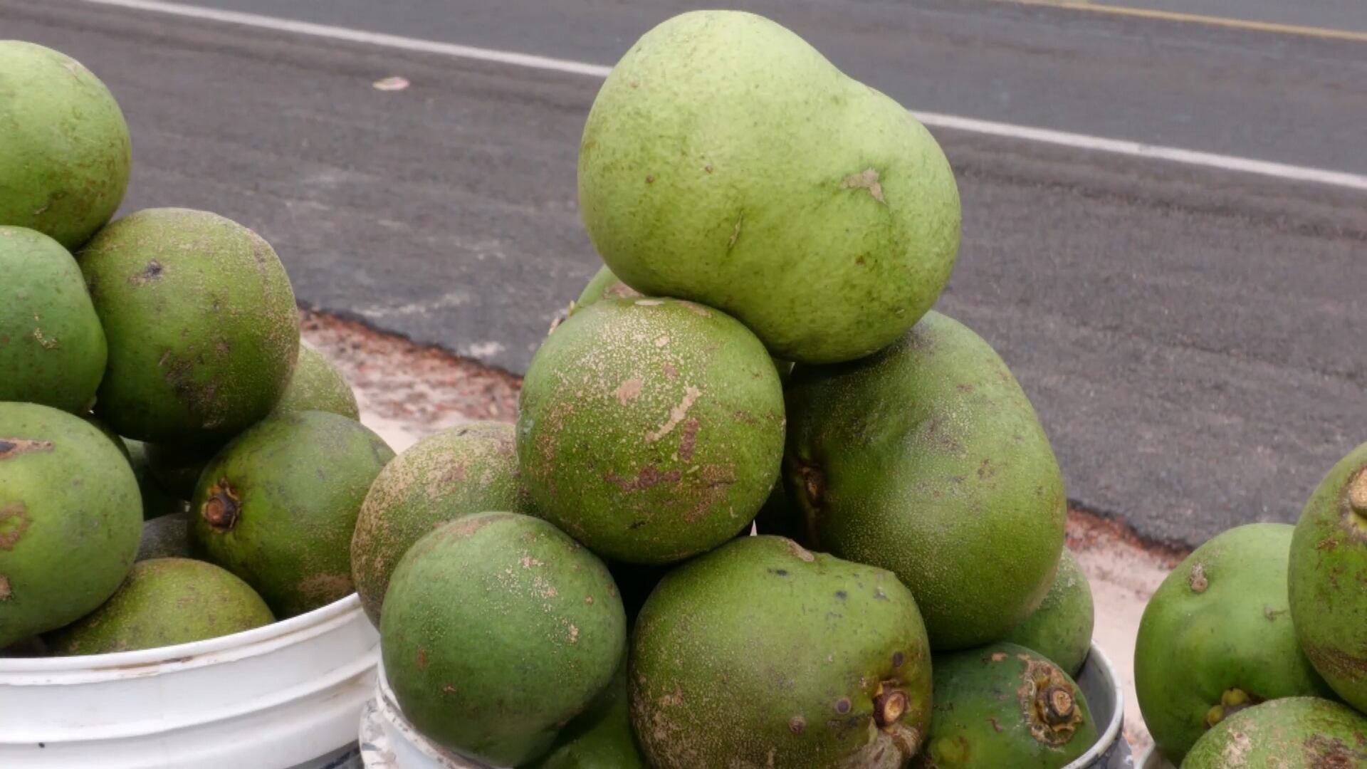 Moradores de zona rural no Maranhão reforçam renda com venda de pequi
