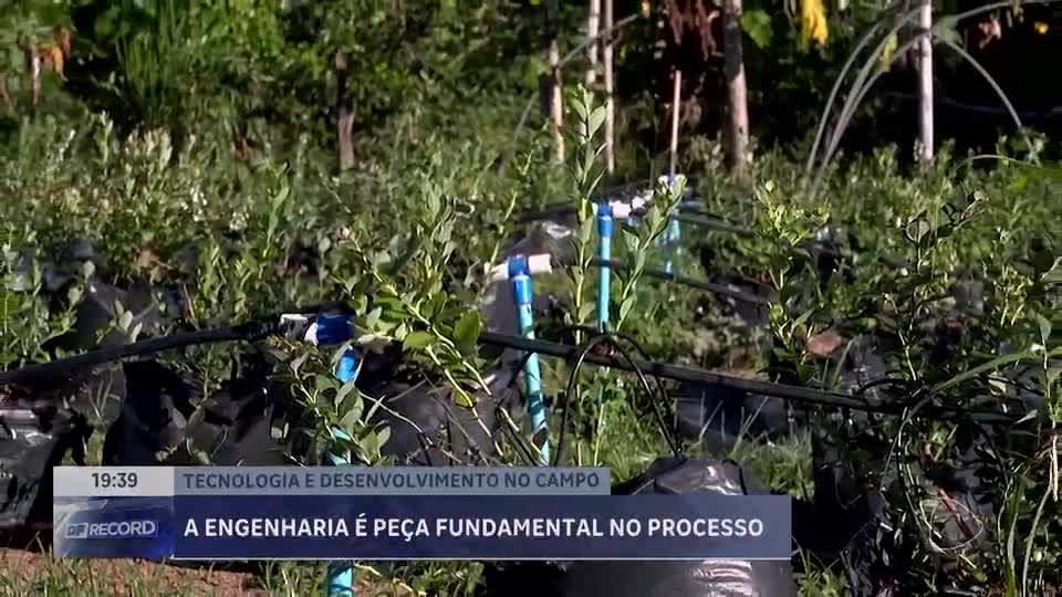 Tecnologia impulsiona recorde de exportações no agronegócio