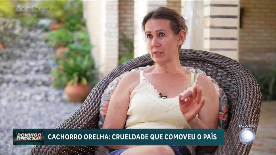 Orelha: Veja os desdobramentos sobre o caso do cachorro que foi morto por um grupo de adolescentes