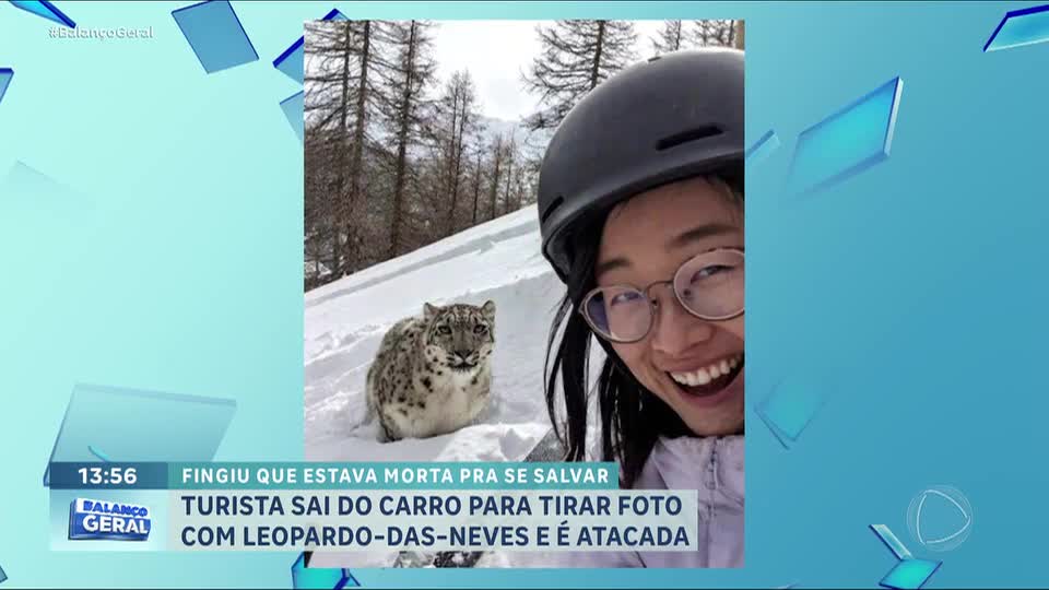 Turista é atacada por leopardo-das-neves após ignorar avisos de segurança na China