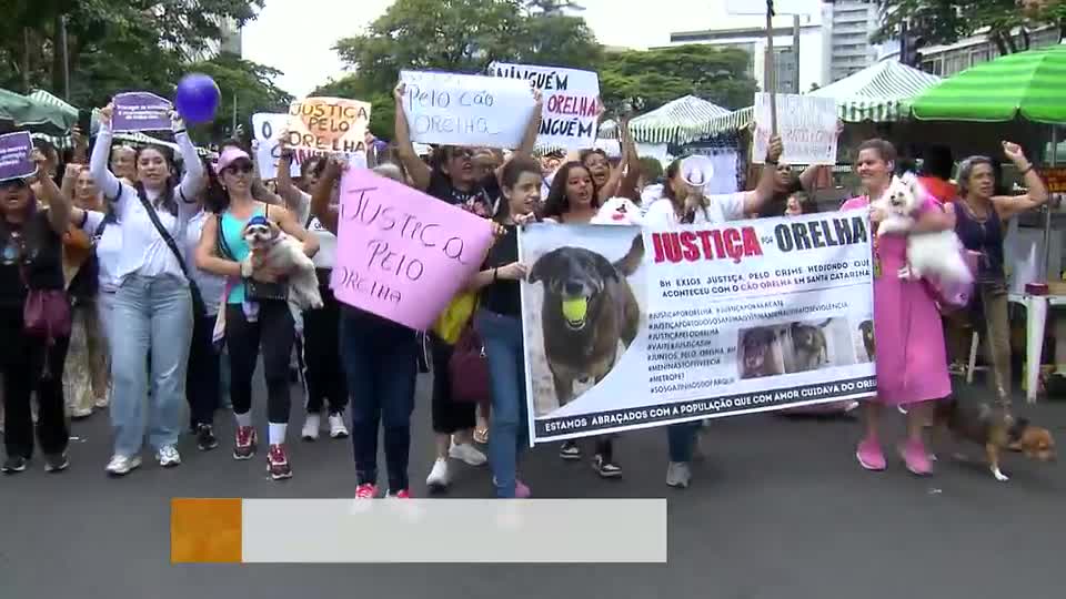 Manifestantes em BH pedem justiça para caso do cão 'Orelha', vítima de maus-tratos 