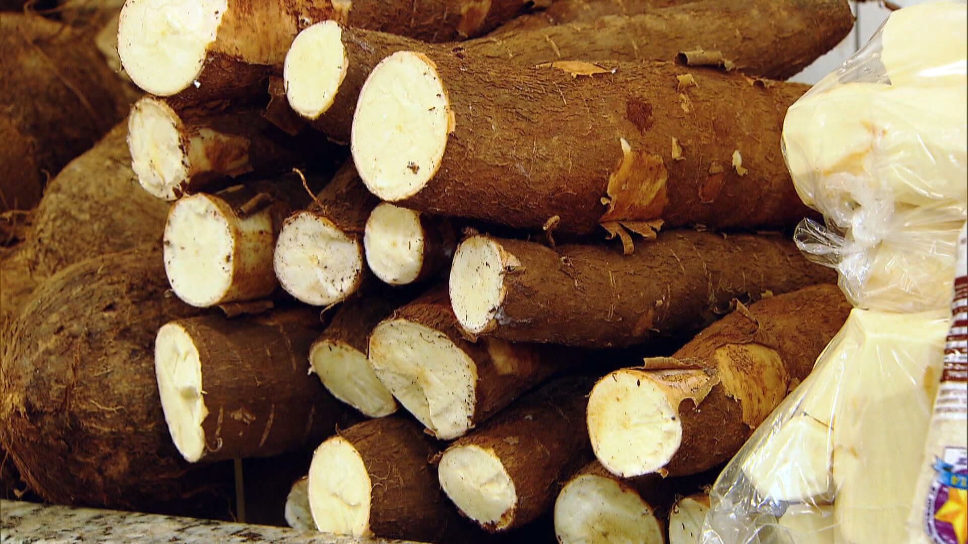 Baixa rentabilidade desestimula produtores da mandioca