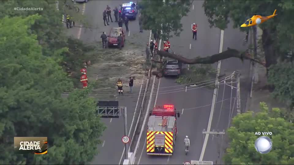 Árvore cai no meio de avenida e deixa dois feridos na região do Ibirapuera, na zona sul de São Paulo