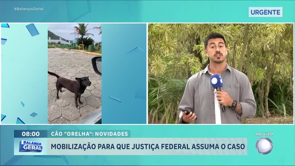Caso Orelha: Entidades querem que morte do cão seja julgada pela Justiça Federal